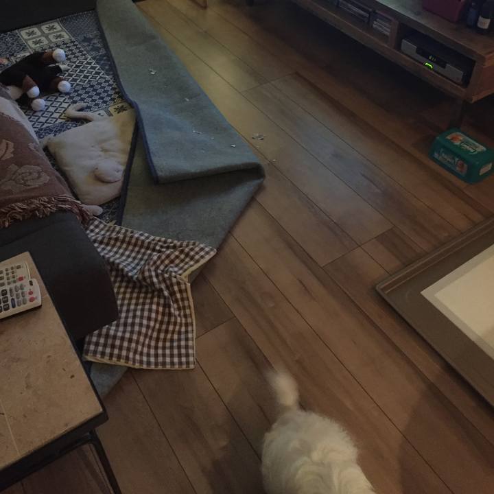 Cfab4c23 8b12 4964 90bc 20d32a34bcbc