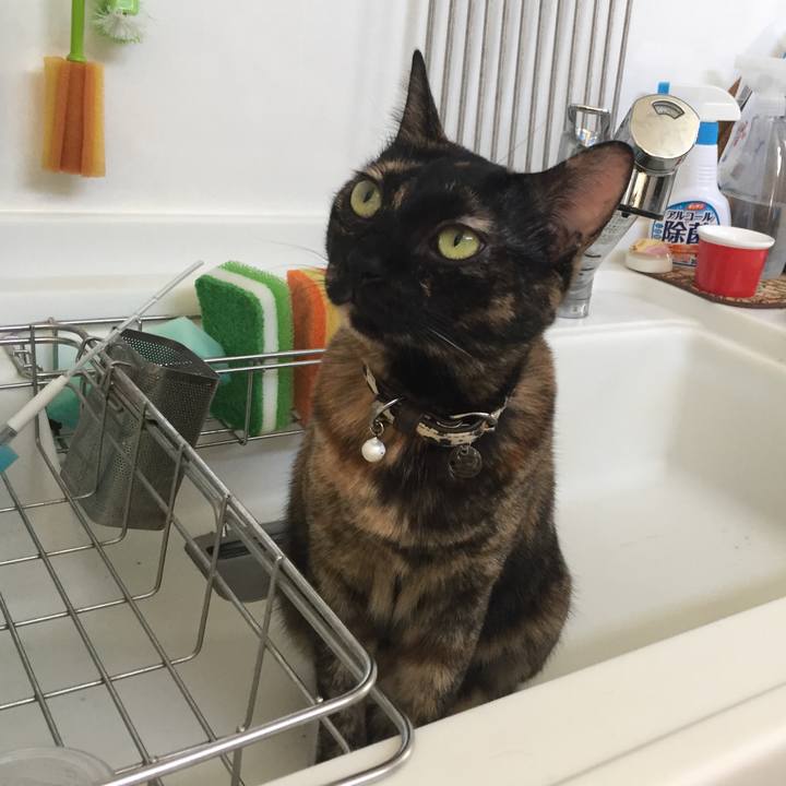 Cfabd1f2 0f25 429d a3b5 3b6a157e8a5f