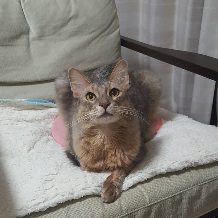 Cfac65e8 bce9 4837 bc82 4a68063f973d