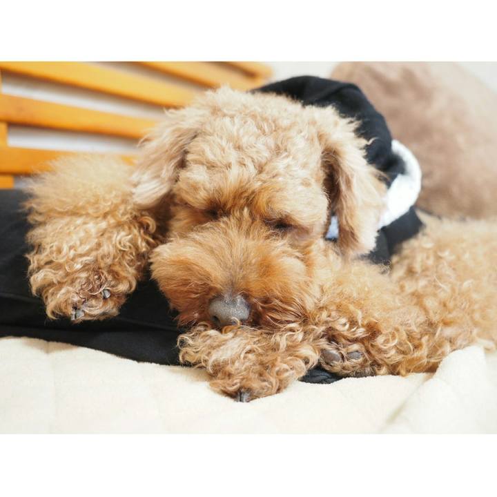 Cfac7995 8a98 46a4 afc5 d7acef078891