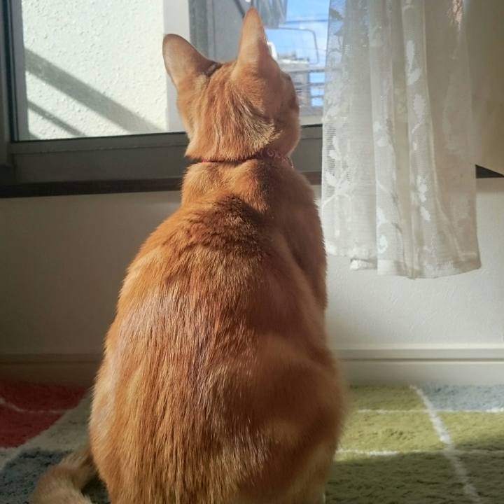 Cfadd503 7522 42ff a83d d5e977a48525