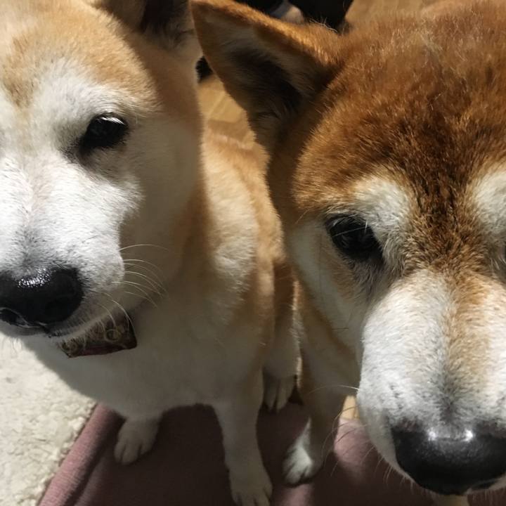 Cfade231 d4e3 4643 b374 89a7d61f3d5e