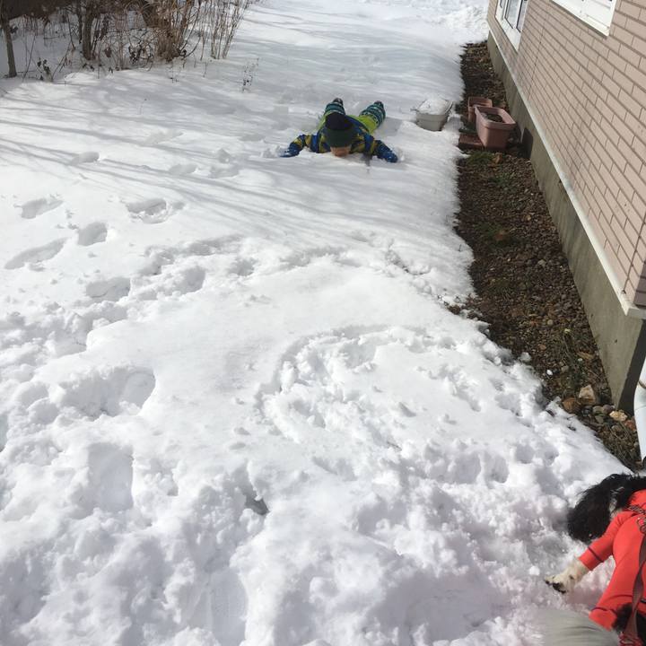 Cfae3dd7 c654 49ff a8b5 67859507d60c