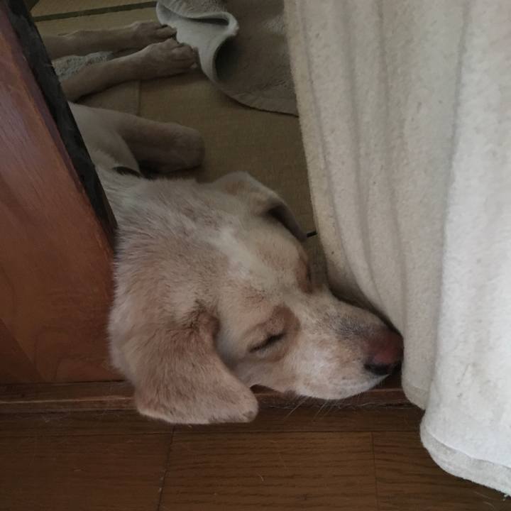 Cfaea13b 07e9 47a7 b8d8 cd72bdb87501