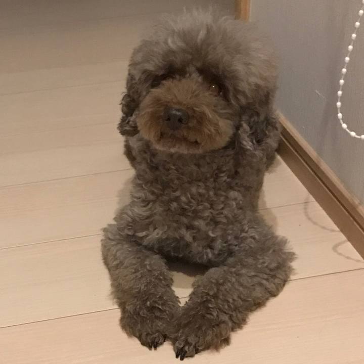 Cfaf4811 8fea 4d99 bf0f d27f18070a7e