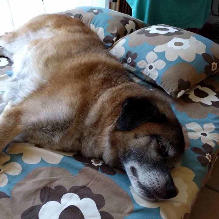 Cfafe2ec 087f 4836 8cf9 a51d6aaa4781