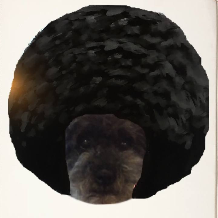 Cfb06fb0 f51b 43d7 bde4 37e6a2897b28