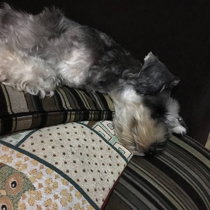 Cfb0a9b7 81fd 447f a303 8ce3a45ffce5