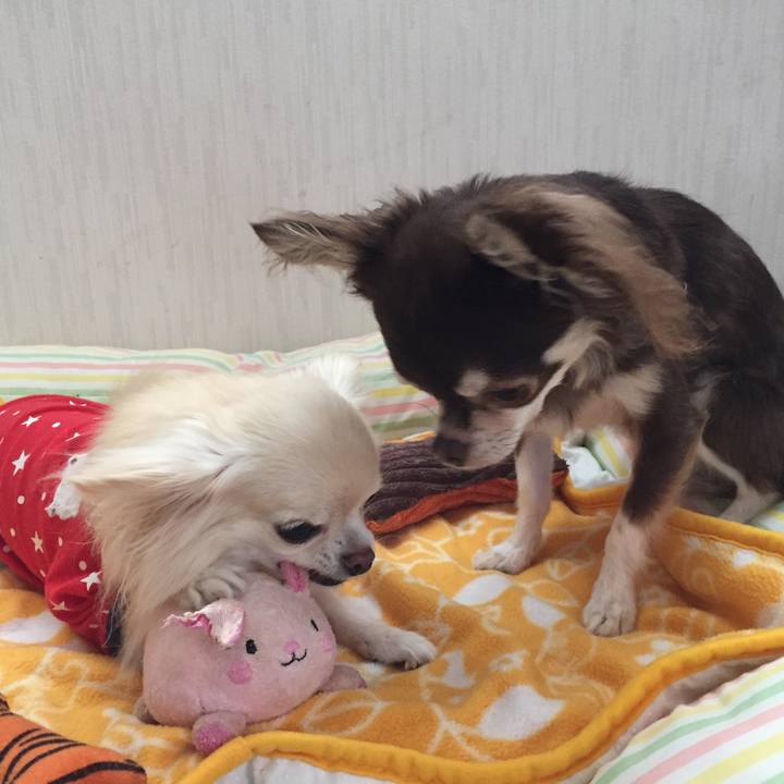 Cfb0df42 a2fd 46f3 bf73 1d005e41d3c0