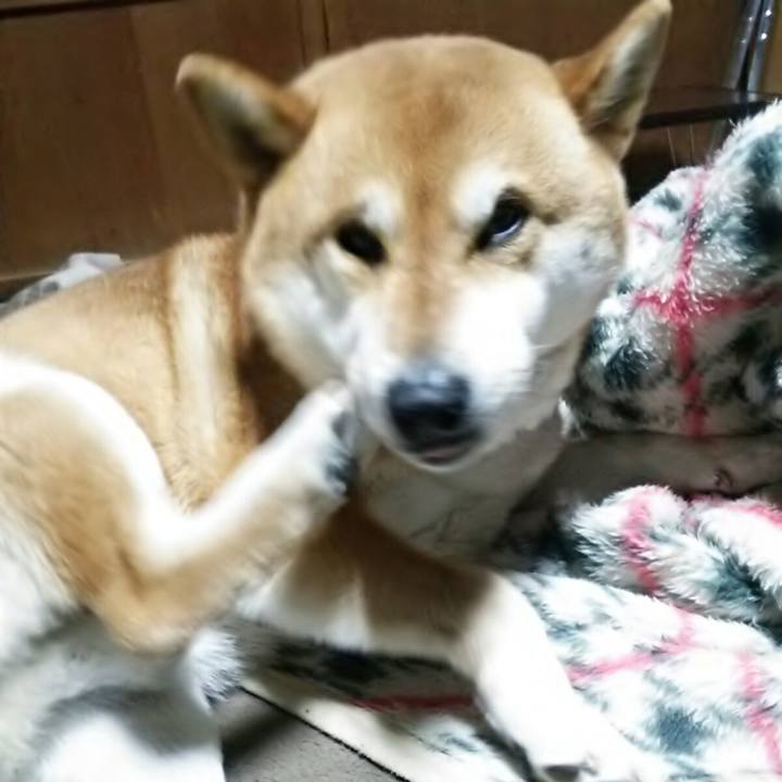 Cfb0eb90 5878 4d4f b1cb 2848126ddf81