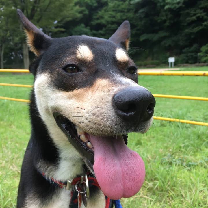 Cfb0ef4b ac59 4980 ba8b 57c45ebe9ad7