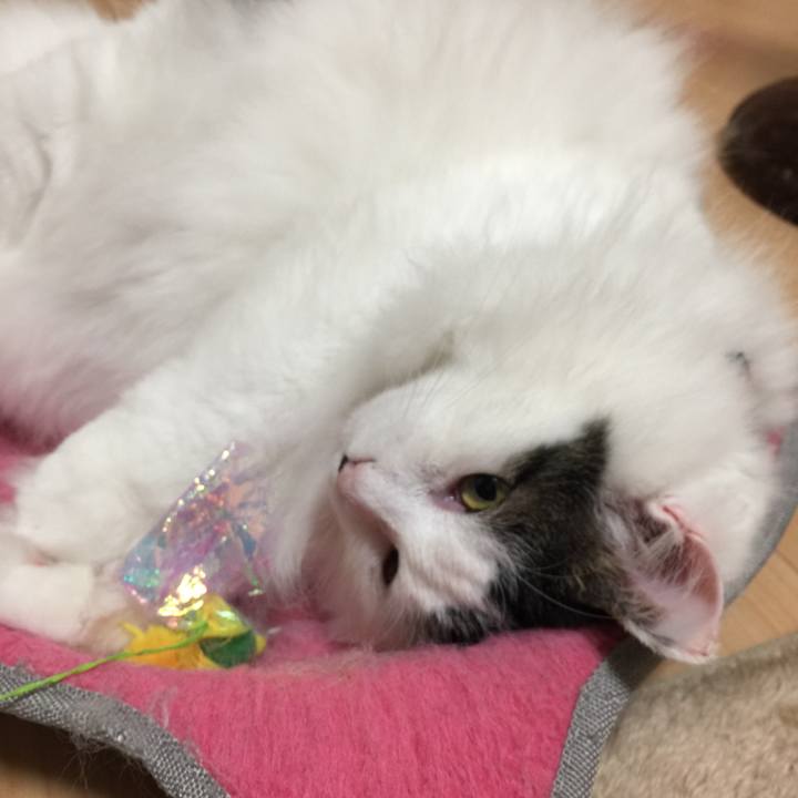 Cfb14388 bf3e 4565 85eb 770bb203f2fd