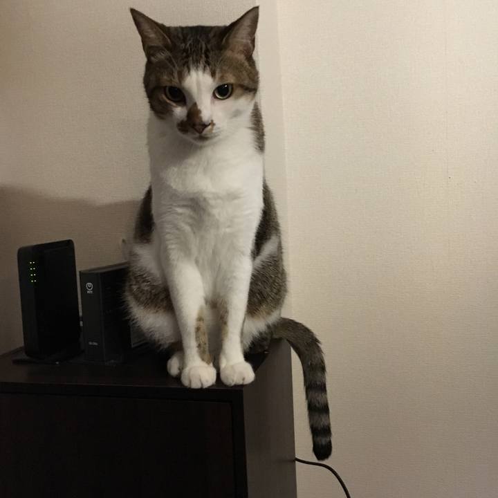 Cfb1c4fb fac0 4fa2 a010 f80e668422c2