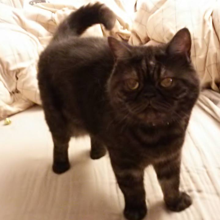 Cfb1ea3f 7f5f 4ffb 86c1 b8f0d948e9c5