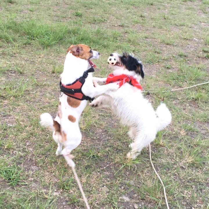 Cfb1eca4 5d33 48d3 9118 1c616994649e