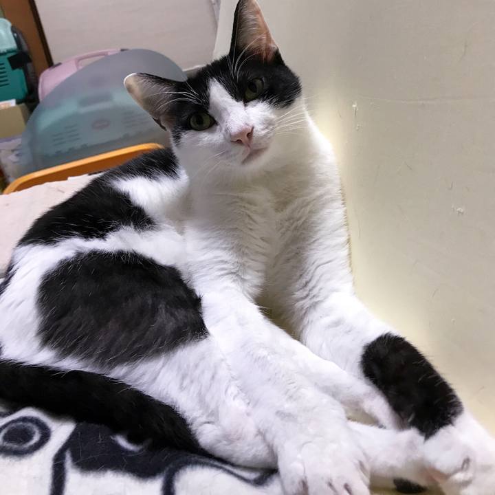 Cfb24700 2093 4231 b1b0 b63343ecb3b4