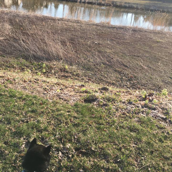 Cfb2ca72 d77b 4558 9908 eac0850bfd01