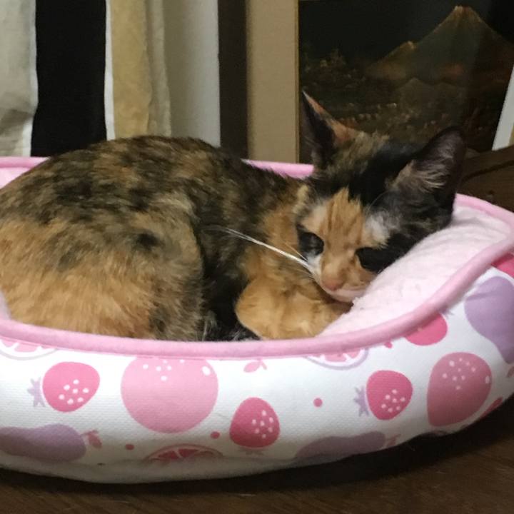 Cfb2d798 fddc 4ef6 8caa 4b129fc2fdb0