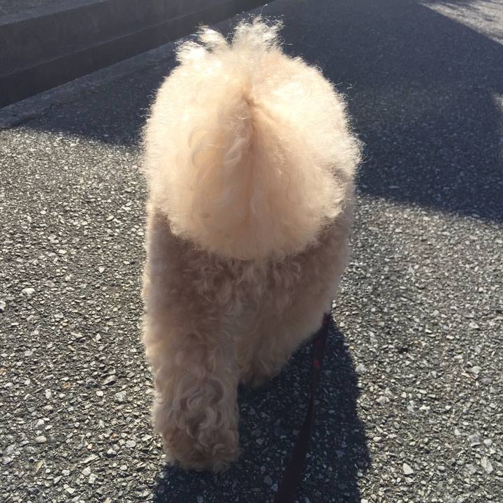 Cfb3d629 388d 4227 ac10 426f55efa71b