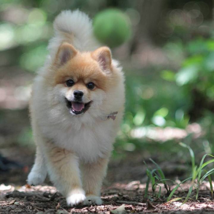 Cfb3e21b 0e4f 4ecf 9016 174f6db05831