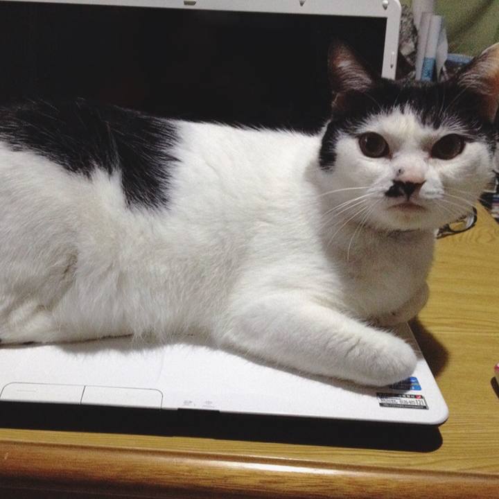 Cfb3fe43 20df 47d7 bb3d aaee339452b1