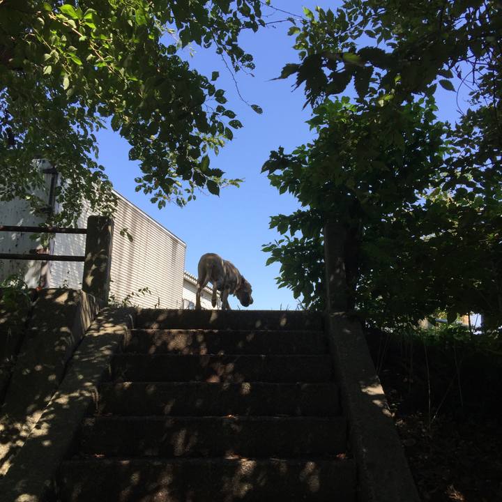 Cfb41292 1f0a 47de a888 4fbaa1b7cec4