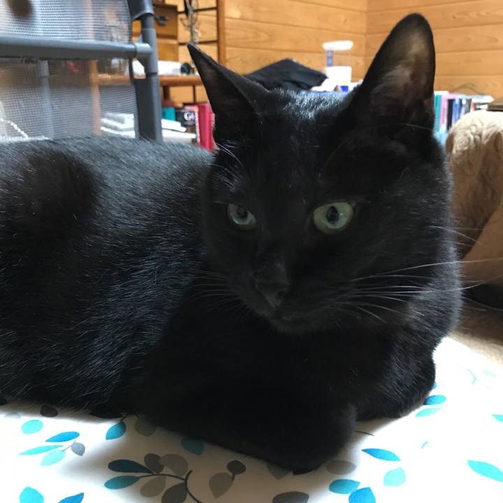 Cfb4a467 b642 45ea ba40 fca876336cb9