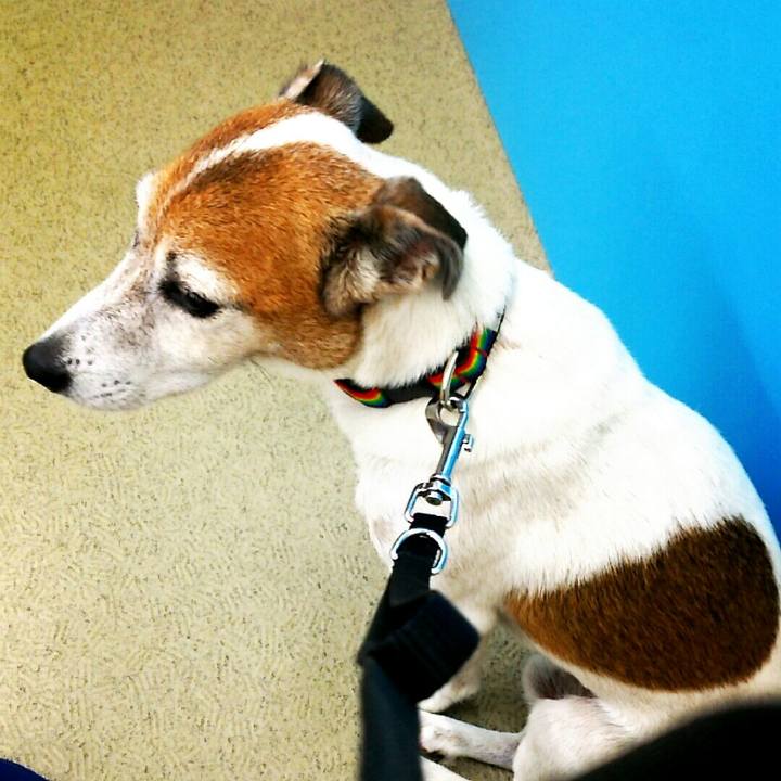 Cfb4aa05 d006 44e1 92d3 7f65f20feee0