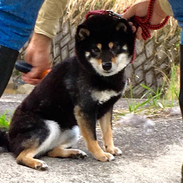 Cfb61481 69bc 4960 8514 36d7dd7667e4