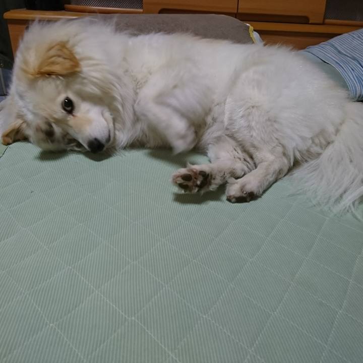 Cfb64f17 c21c 42eb 9c4d e7efc7a0e491