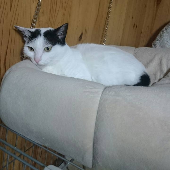 Cfb6b92e fcc2 4651 ab11 e9f80fa23913