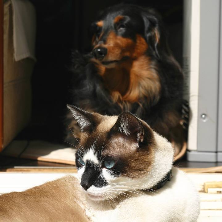 Cfb6c78e d180 4f35 9a92 a319556ffe71