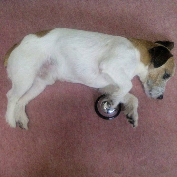 Cfb7baa6 a59d 4c79 8b7d c5fef334bdd9