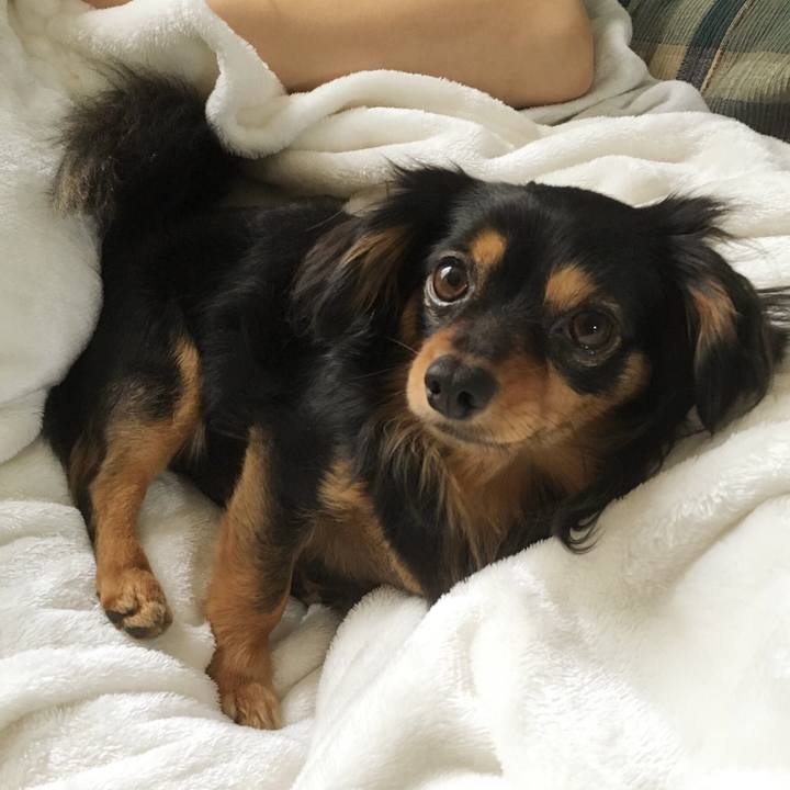 Cfb802f2 342d 4d77 a66f f744a00b0df4