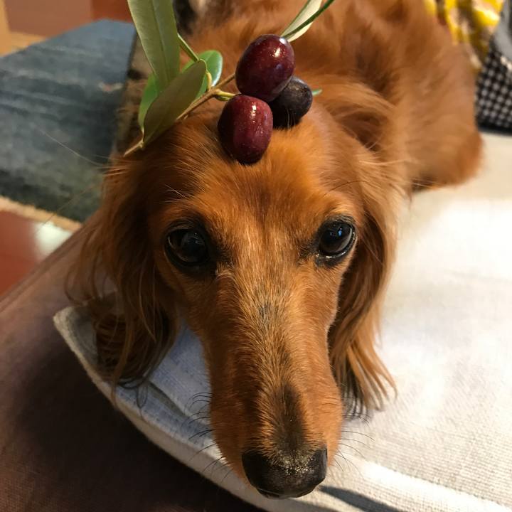 Cfb85dc3 c9c8 4d47 9e16 609627687487