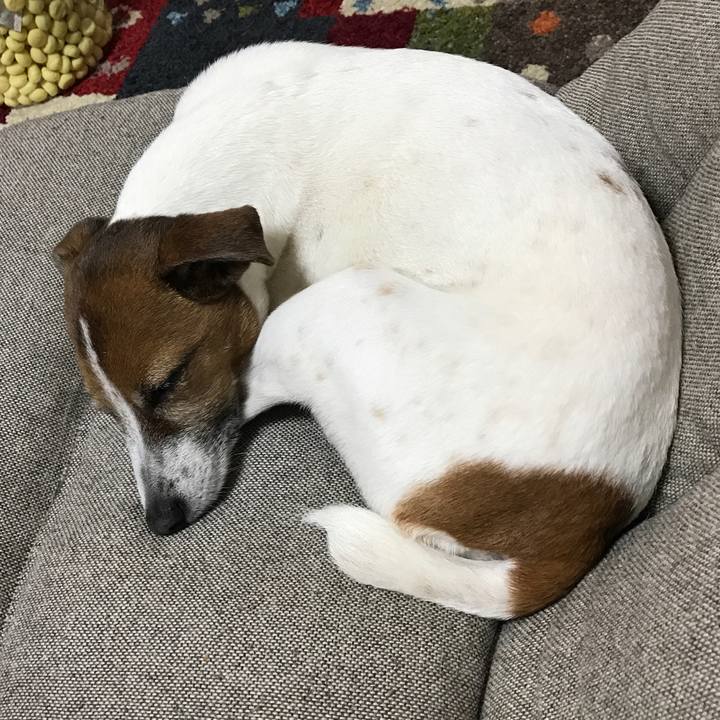 Cfb92466 f98f 40d1 9907 5d9ac0e62da5