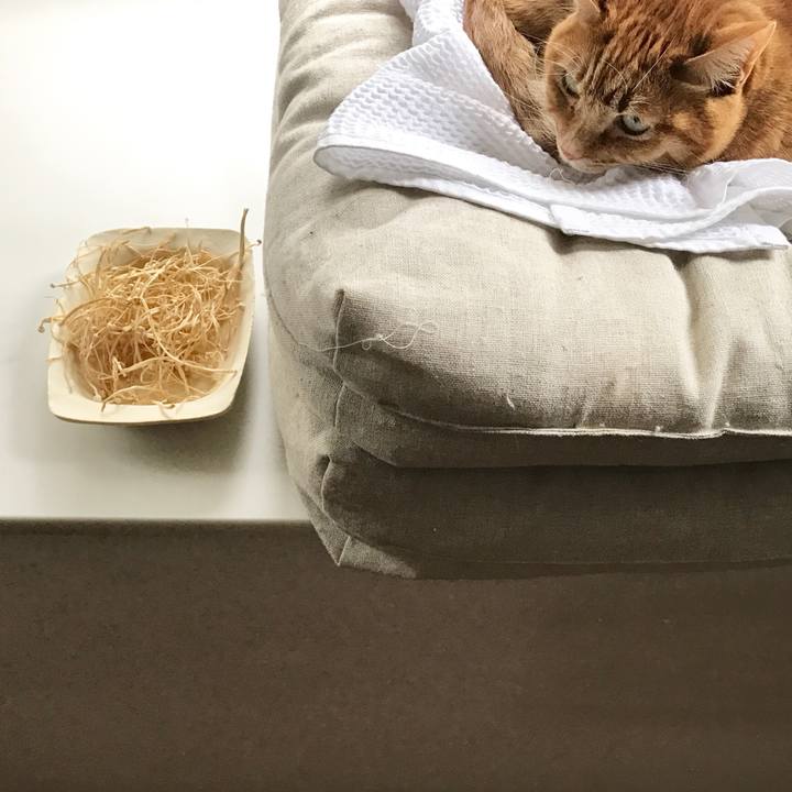 Cfb9a00b 3ef1 40e8 a324 c00c0a3b61a9