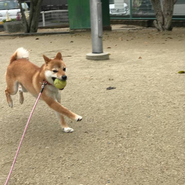 Cfbac2f4 44b8 47af bebb 6210742f5a2b