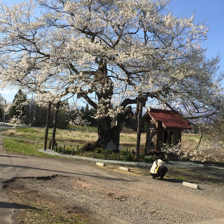 Cfbbeffc 32d7 4849 a7b2 0bebe61eabf0