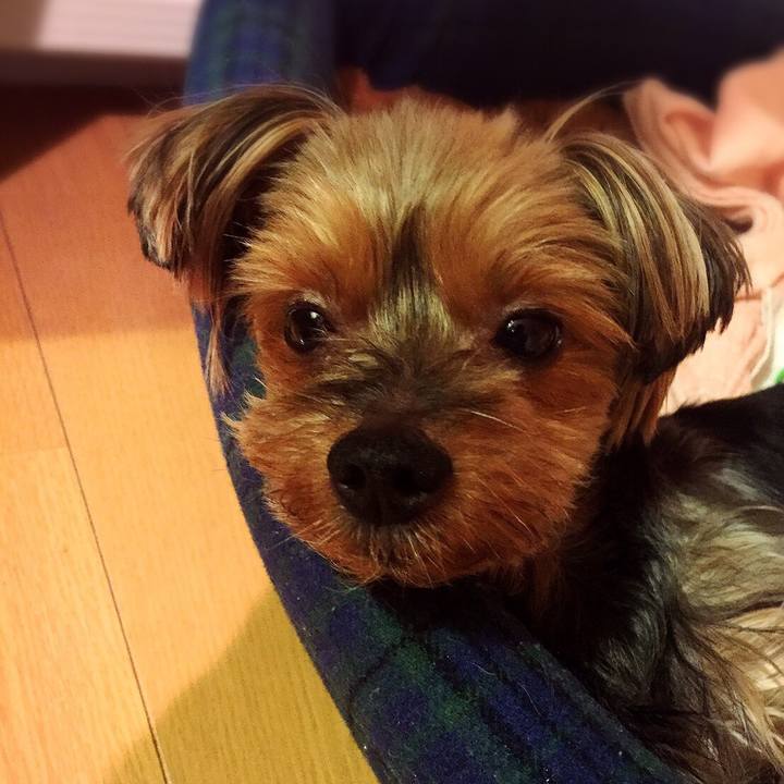 Cfbbf901 42ae 4b01 abf2 c53e4e0adda5