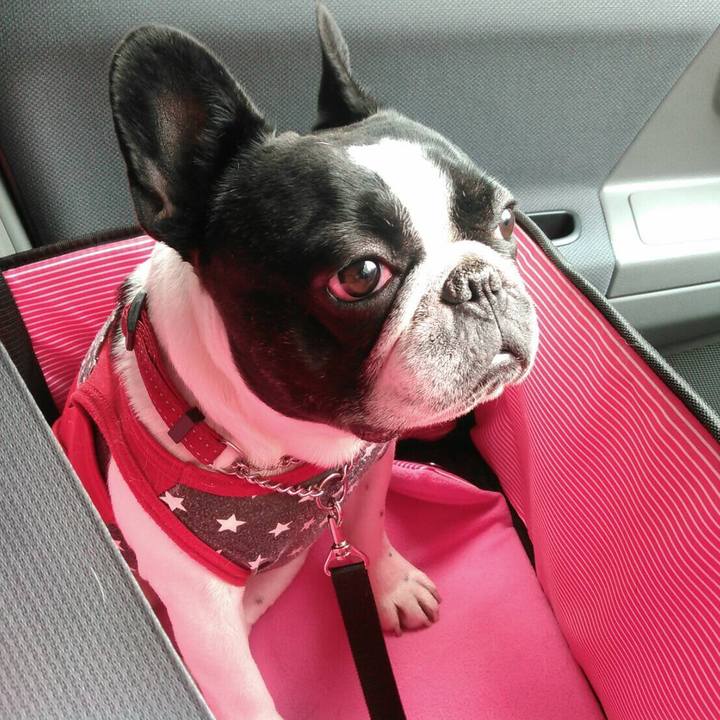 Cfbc16d7 c1db 4dc1 b079 7da6bd9b14ad