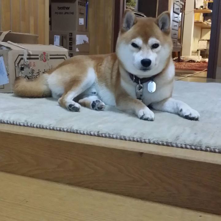 Cfbc6cb4 20d3 497e 8b40 3d82dce9d98b