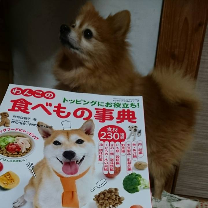 Cfbca35f adca 4931 b6fc c3c692ac7baf