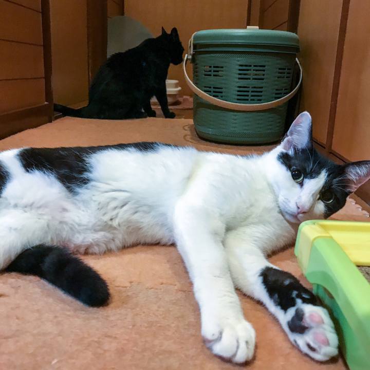 Cfbd234d c176 4ca2 a853 07652191b9ad