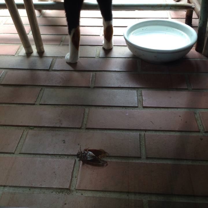 Cfbd6c59 de9f 4a15 8700 db32c4789565