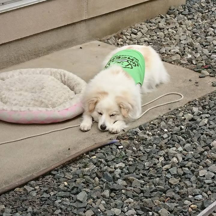 Cfbd71db c1bb 4b09 b2a2 31cc380ea547