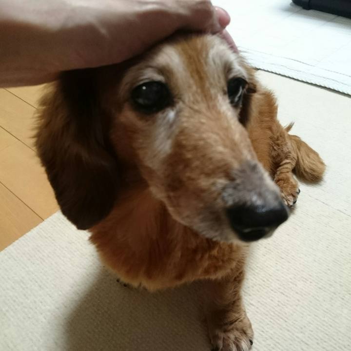 Cfbd895a f257 45f1 bca2 54e06da23ccf