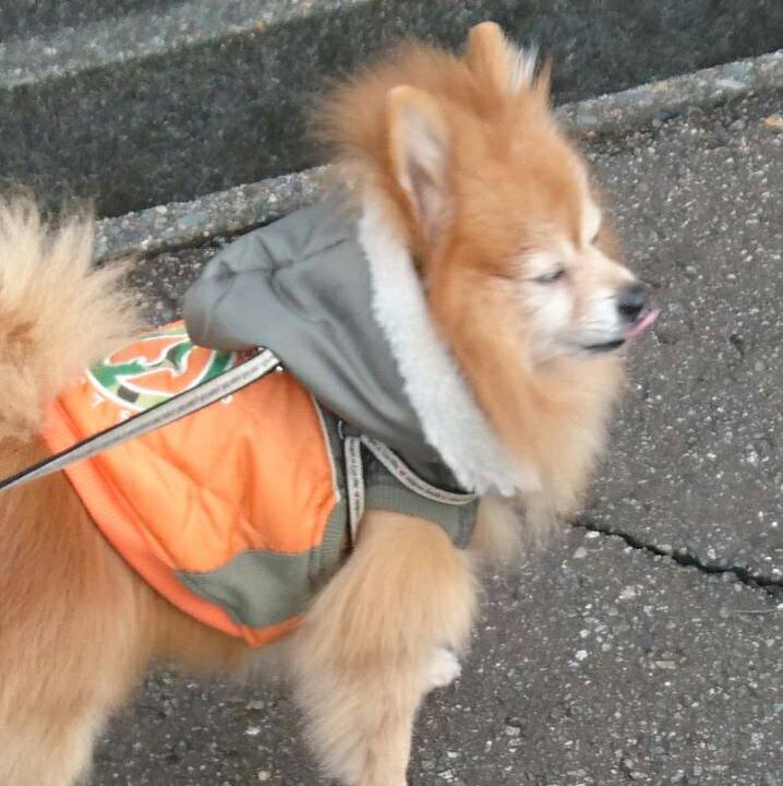 Cfbddf34 6652 44a9 b9df fab8d952d1e0