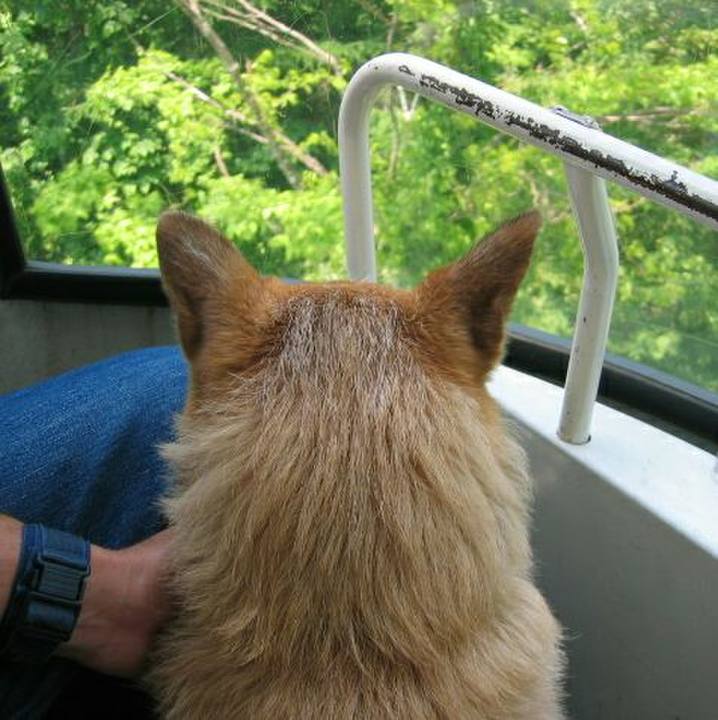 Cfbe8cbc 86ff 49b9 b33e 7743b8e830ca