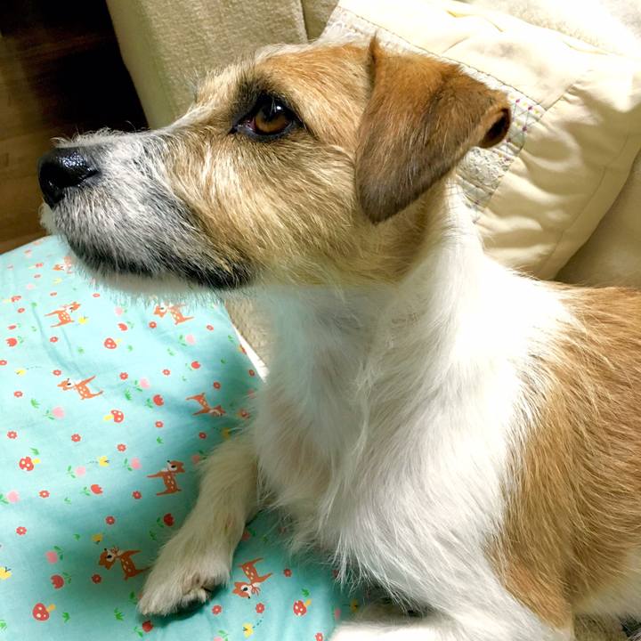 Cfbe96f4 9bf3 47ef 8da5 833ecfd3cf54